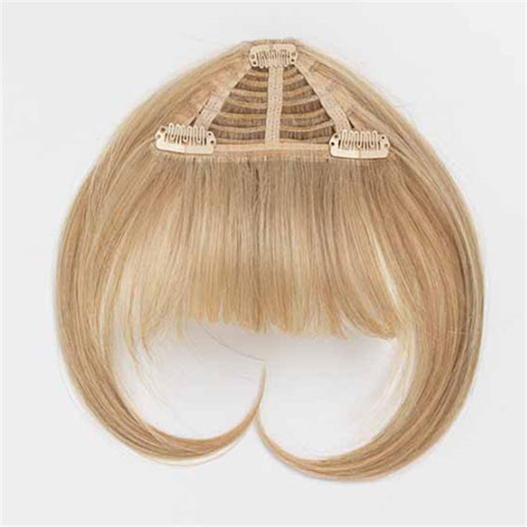 Clip In Bang Hairpiece Hairdo The Wig Company TWC The Wig Company